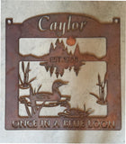 Metal sign,  Family Get away, loon and lake sign,customized with your family name on top