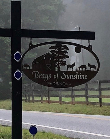 4ft Metal Sign with barn and donkeys customized with your name