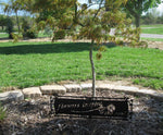 Flowers inspire the Soul metal garden accent