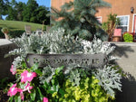 It Is What It Is, metal plaque with stake for landscape accent