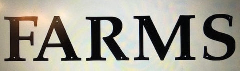 METAL LETTERS 12 inch